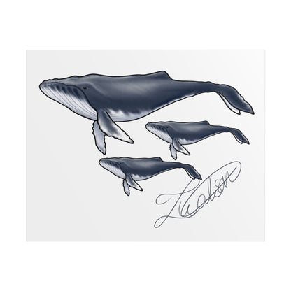 Whale Family Unframed Poster
