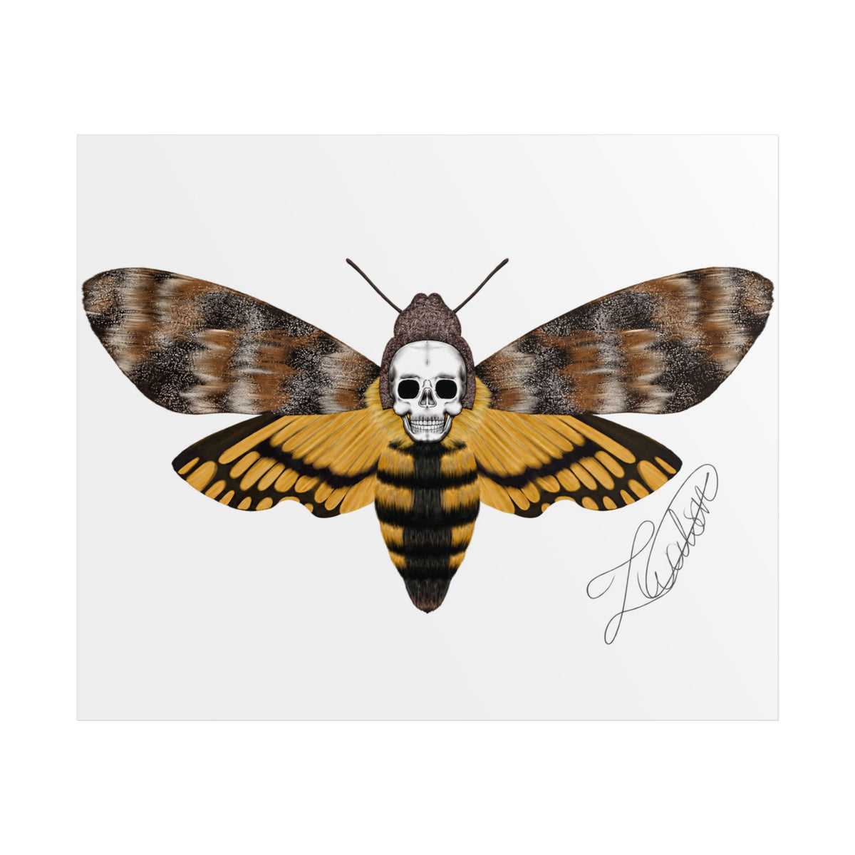 Unframed death moth Posters