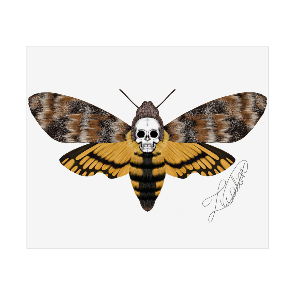 Unframed death moth Posters