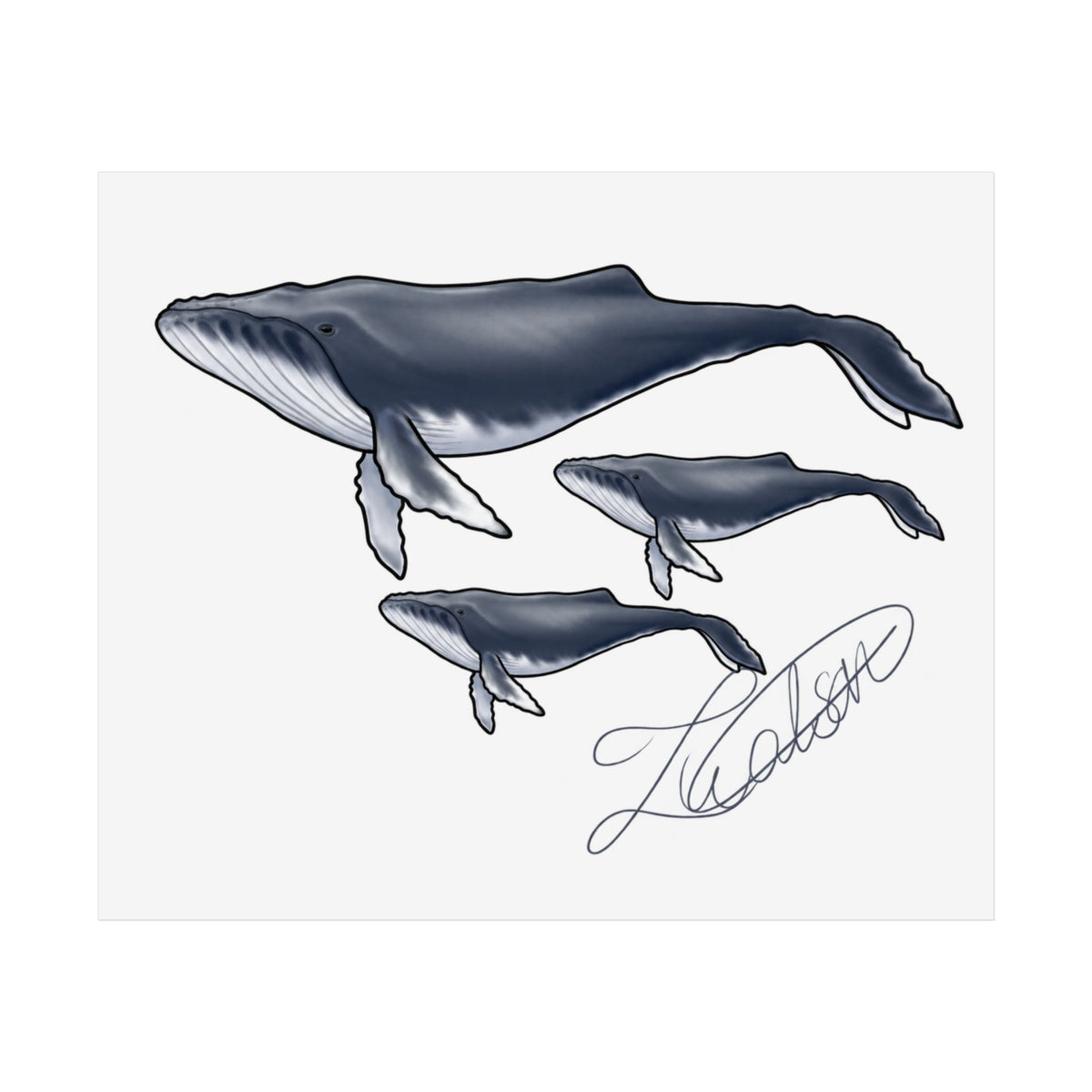 Whale Family Unframed Poster