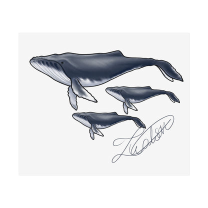 Whale Family Unframed Poster