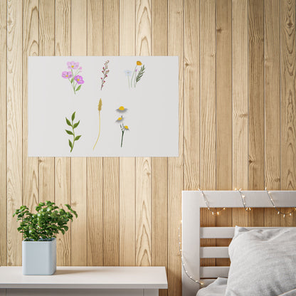 Botanical Wildflower Unframed Poster