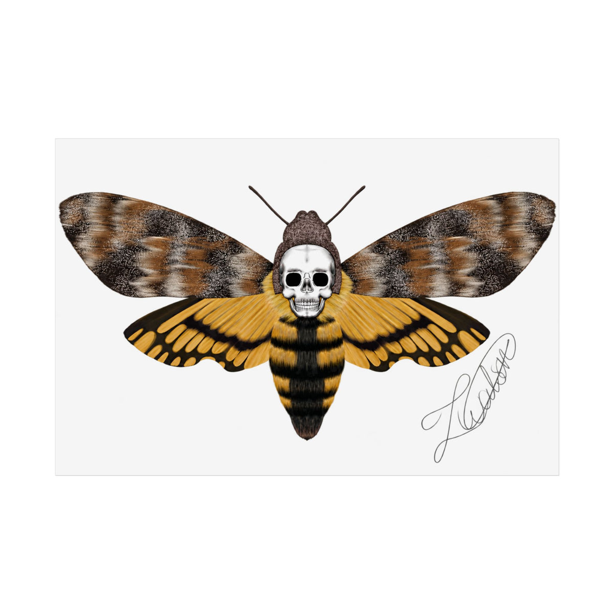 Unframed death moth Posters