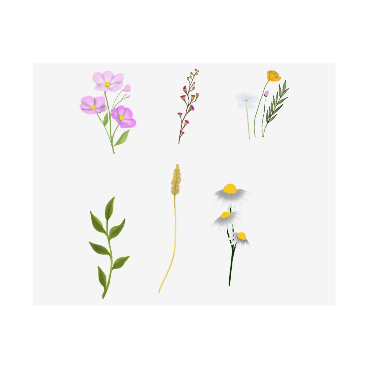 Botanical Wildflower Unframed Poster
