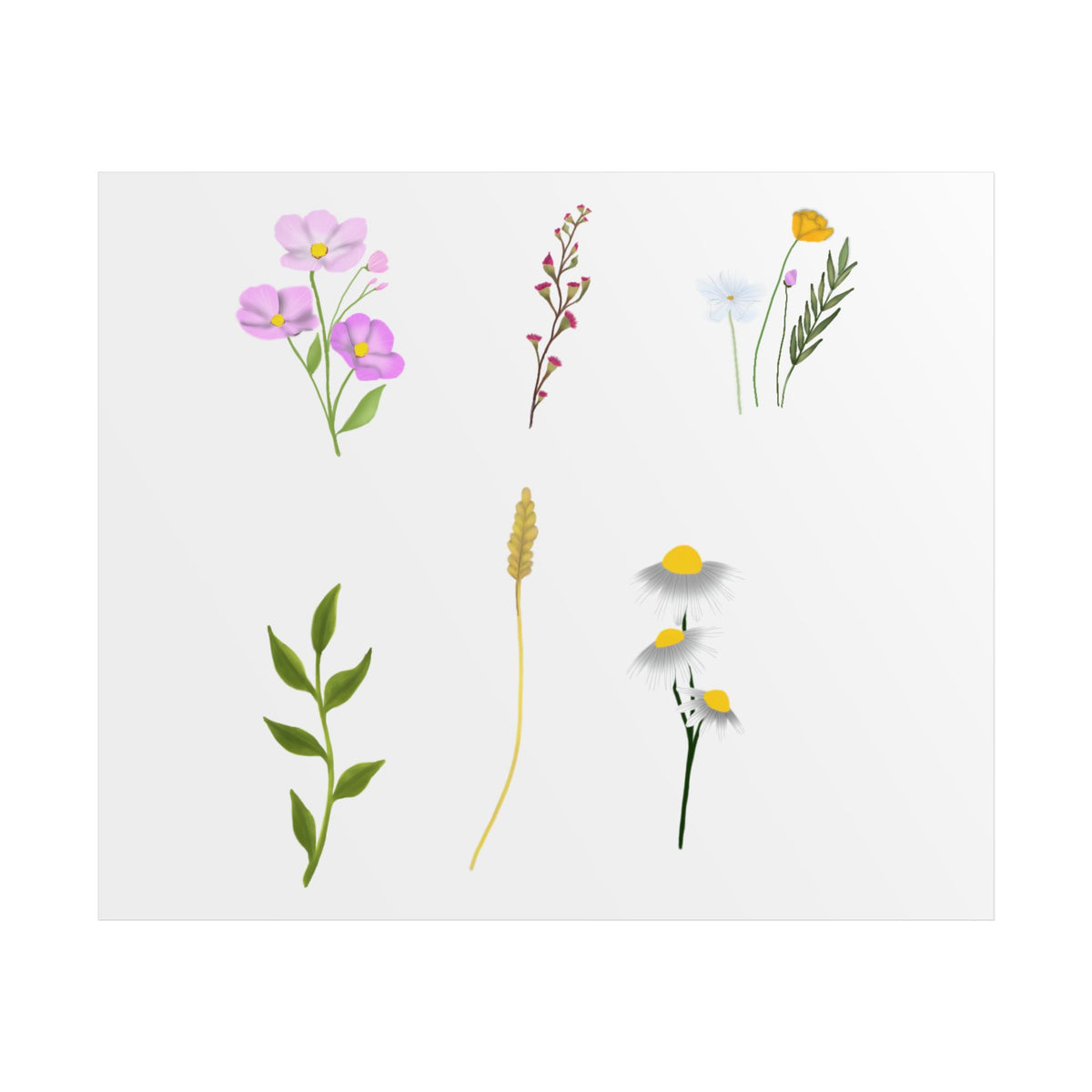 Botanical Wildflower Unframed Poster
