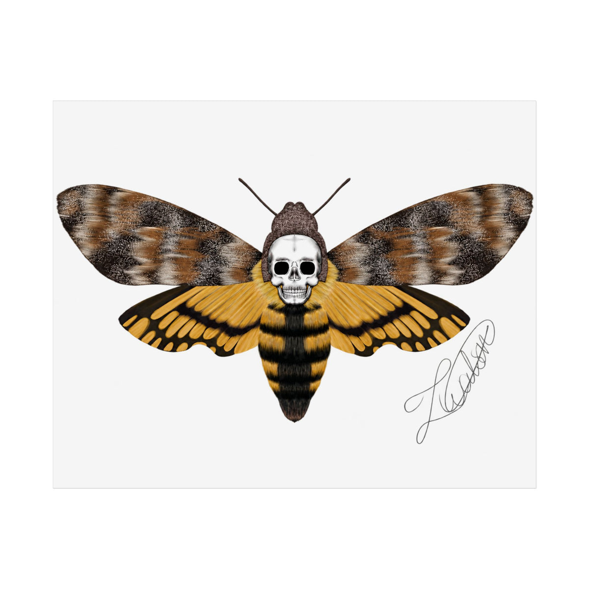 Unframed death moth Posters