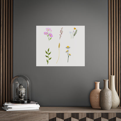 Botanical Wildflower Unframed Poster