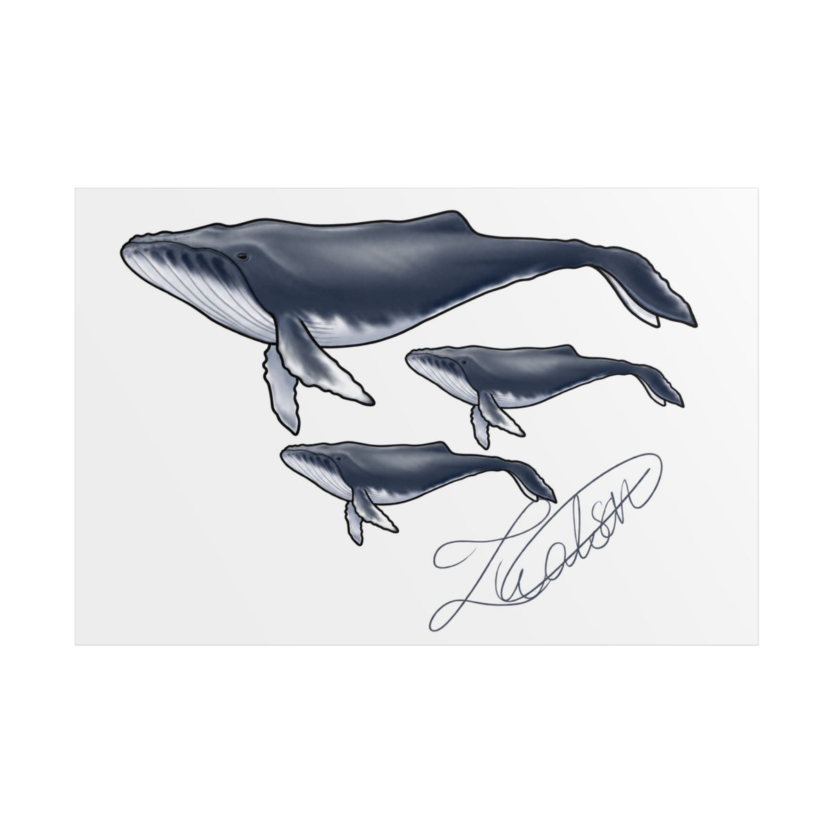 Whale Family Unframed Poster