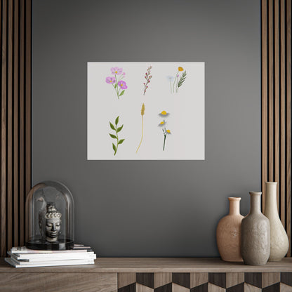 Botanical Wildflower Unframed Poster