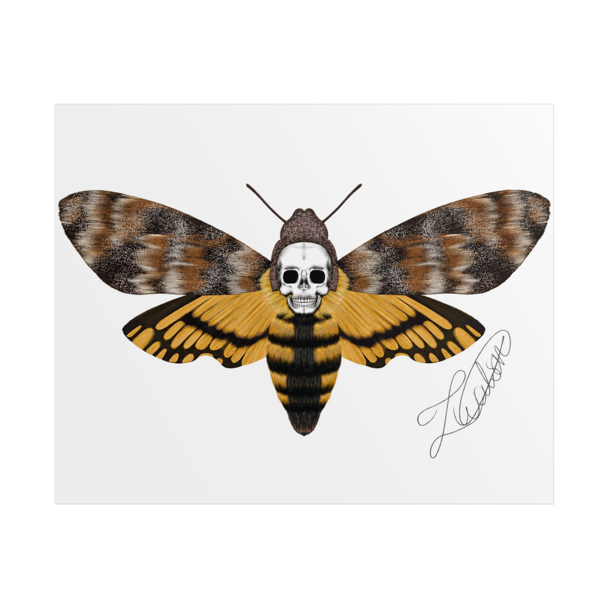 Unframed death moth Posters