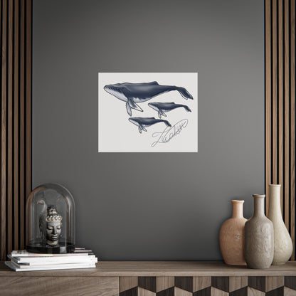 Whale Family Unframed Poster
