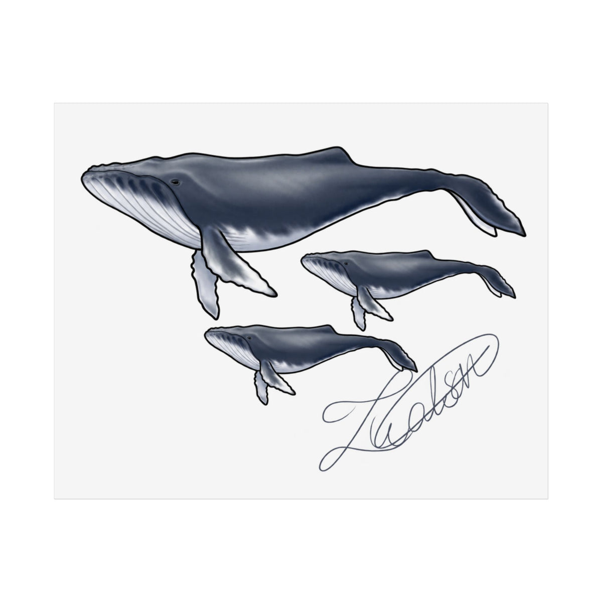 Whale Family Unframed Poster