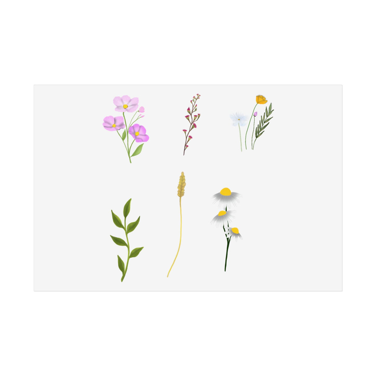 Botanical Wildflower Unframed Poster
