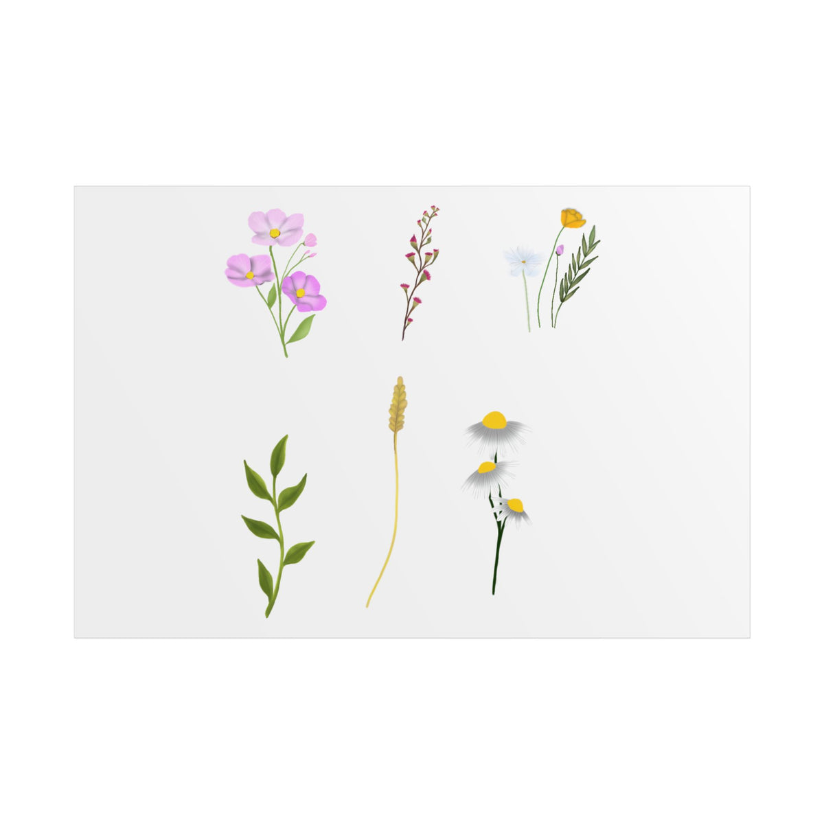 Botanical Wildflower Unframed Poster