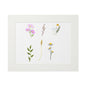 Wildflower Fine Art Print with Paper Mat Frame