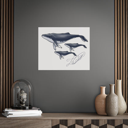 Whale Family Unframed Poster