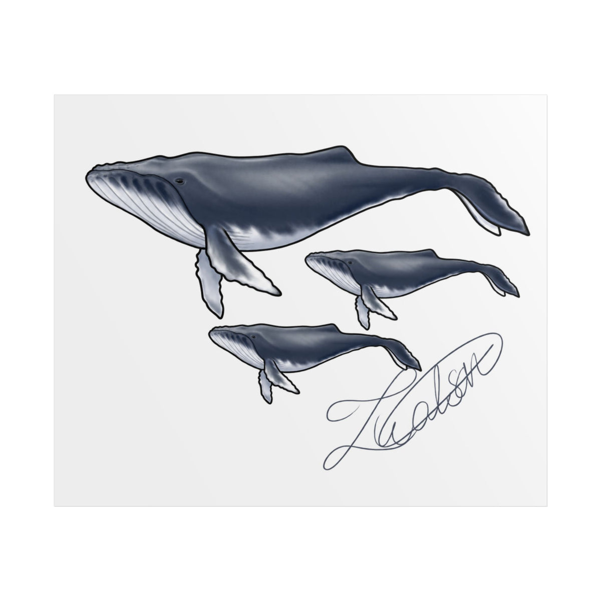 Whale Family Unframed Poster