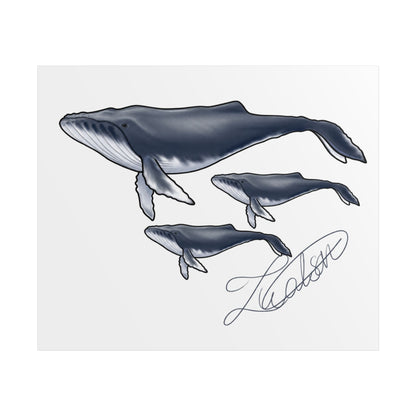 Whale Family Unframed Poster