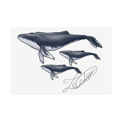 Whale Family Unframed Poster