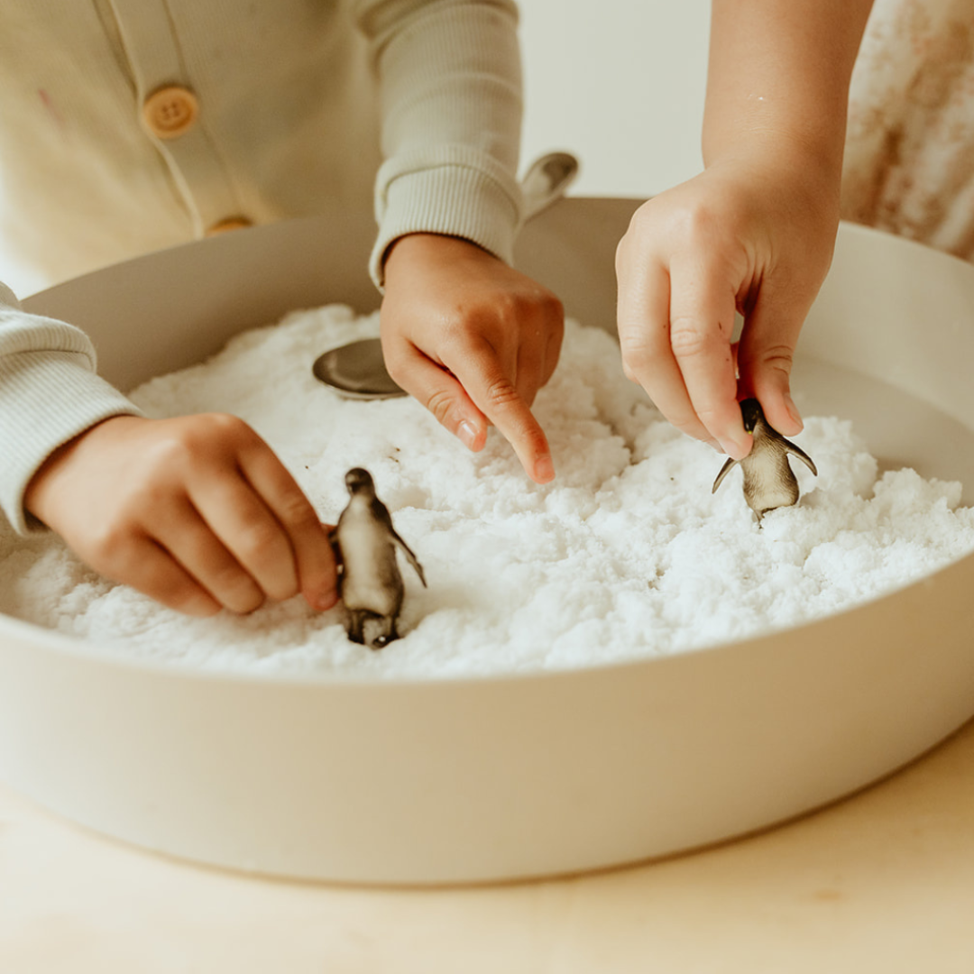 Tray Play Bundle - Arctic ??